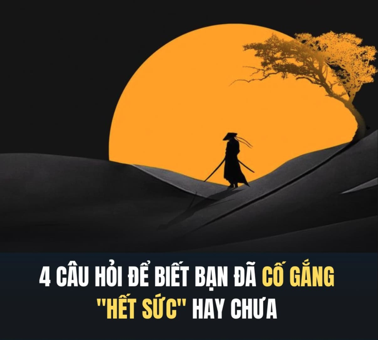 4 câu hỏi để biết bạn đã cố gắng 