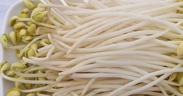 4 loại rau “độc” nhất thế giới âm thầm 