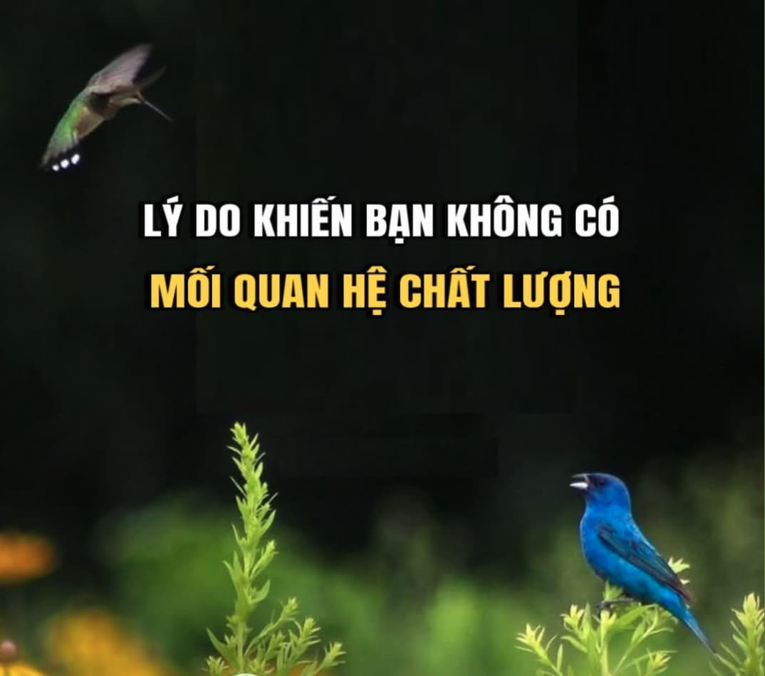 LÝ DO KHIẾN BẠN KHÔNG CÓ MỐI QUAN HỆ CHẤT LƯỢNG